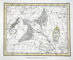 The Constellations (Plate XI) Cygnus, Lacerta og Via Lactea, fra 